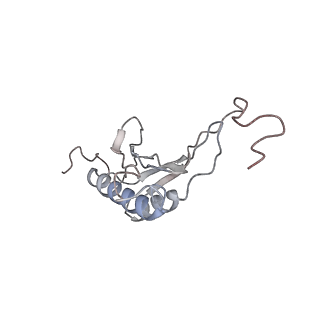 9702_6ip6_3L_v1-2
Cryo-EM structure of the CMV-stalled human 80S ribosome with HCV IRES (Structure iii)