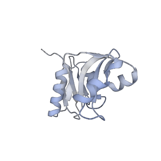 9702_6ip6_3M_v1-2
Cryo-EM structure of the CMV-stalled human 80S ribosome with HCV IRES (Structure iii)
