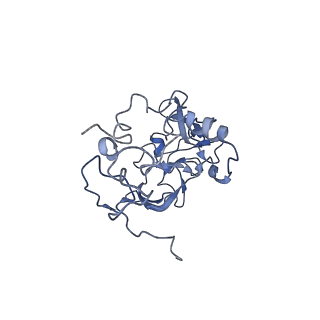 9703_6ip8_1D_v1-2
Cryo-EM structure of the HCV IRES dependently initiated CMV-stalled 80S ribosome (Structure iv)