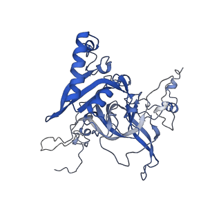 9703_6ip8_1E_v1-2
Cryo-EM structure of the HCV IRES dependently initiated CMV-stalled 80S ribosome (Structure iv)