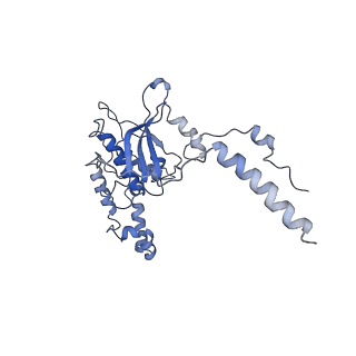 9703_6ip8_1G_v1-2
Cryo-EM structure of the HCV IRES dependently initiated CMV-stalled 80S ribosome (Structure iv)