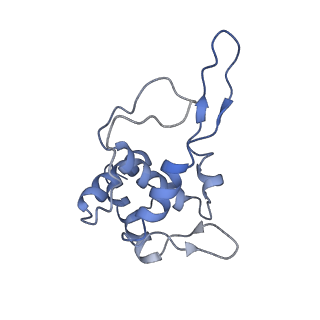 9703_6ip8_20_v1-2
Cryo-EM structure of the HCV IRES dependently initiated CMV-stalled 80S ribosome (Structure iv)