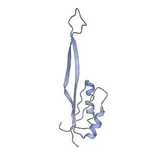 9703_6ip8_21_v1-2
Cryo-EM structure of the HCV IRES dependently initiated CMV-stalled 80S ribosome (Structure iv)