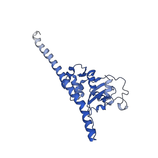 9703_6ip8_2A_v1-2
Cryo-EM structure of the HCV IRES dependently initiated CMV-stalled 80S ribosome (Structure iv)