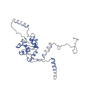 9703_6ip8_2B_v1-2
Cryo-EM structure of the HCV IRES dependently initiated CMV-stalled 80S ribosome (Structure iv)