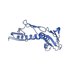 9703_6ip8_2C_v1-2
Cryo-EM structure of the HCV IRES dependently initiated CMV-stalled 80S ribosome (Structure iv)