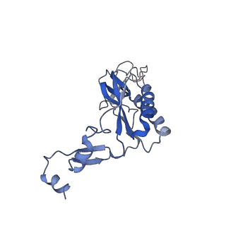 9703_6ip8_2D_v1-2
Cryo-EM structure of the HCV IRES dependently initiated CMV-stalled 80S ribosome (Structure iv)
