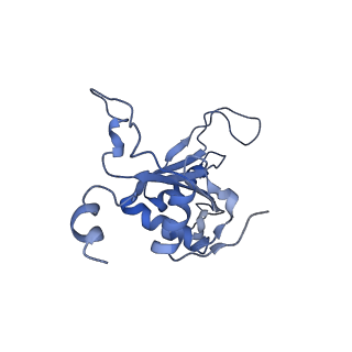9703_6ip8_2E_v1-2
Cryo-EM structure of the HCV IRES dependently initiated CMV-stalled 80S ribosome (Structure iv)