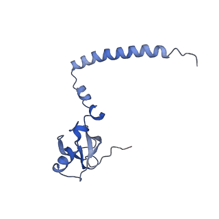 9703_6ip8_2G_v1-2
Cryo-EM structure of the HCV IRES dependently initiated CMV-stalled 80S ribosome (Structure iv)