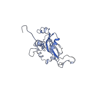 9703_6ip8_2H_v1-2
Cryo-EM structure of the HCV IRES dependently initiated CMV-stalled 80S ribosome (Structure iv)