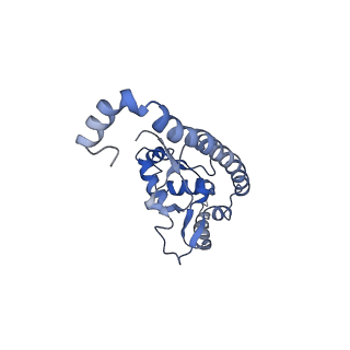 9703_6ip8_2I_v1-2
Cryo-EM structure of the HCV IRES dependently initiated CMV-stalled 80S ribosome (Structure iv)