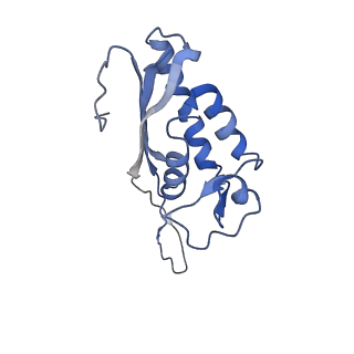 9703_6ip8_2J_v1-2
Cryo-EM structure of the HCV IRES dependently initiated CMV-stalled 80S ribosome (Structure iv)