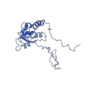 9703_6ip8_2K_v1-2
Cryo-EM structure of the HCV IRES dependently initiated CMV-stalled 80S ribosome (Structure iv)
