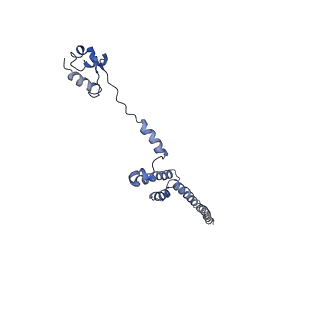 9703_6ip8_2L_v1-2
Cryo-EM structure of the HCV IRES dependently initiated CMV-stalled 80S ribosome (Structure iv)