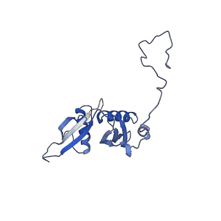 9703_6ip8_2M_v1-2
Cryo-EM structure of the HCV IRES dependently initiated CMV-stalled 80S ribosome (Structure iv)