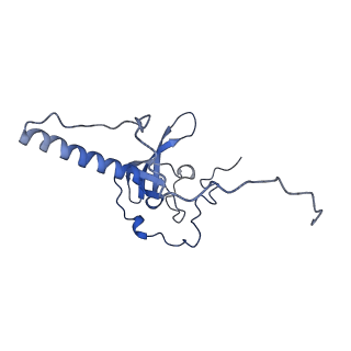 9703_6ip8_2N_v1-2
Cryo-EM structure of the HCV IRES dependently initiated CMV-stalled 80S ribosome (Structure iv)