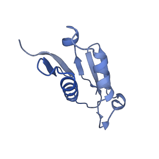 9703_6ip8_2O_v1-2
Cryo-EM structure of the HCV IRES dependently initiated CMV-stalled 80S ribosome (Structure iv)