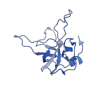 9703_6ip8_2P_v1-2
Cryo-EM structure of the HCV IRES dependently initiated CMV-stalled 80S ribosome (Structure iv)