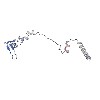 9703_6ip8_2Q_v1-2
Cryo-EM structure of the HCV IRES dependently initiated CMV-stalled 80S ribosome (Structure iv)