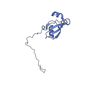 9703_6ip8_2R_v1-2
Cryo-EM structure of the HCV IRES dependently initiated CMV-stalled 80S ribosome (Structure iv)