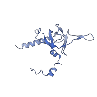 9703_6ip8_2S_v1-2
Cryo-EM structure of the HCV IRES dependently initiated CMV-stalled 80S ribosome (Structure iv)