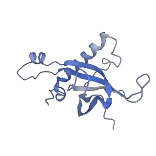 9703_6ip8_2T_v1-2
Cryo-EM structure of the HCV IRES dependently initiated CMV-stalled 80S ribosome (Structure iv)