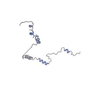 9703_6ip8_2V_v1-2
Cryo-EM structure of the HCV IRES dependently initiated CMV-stalled 80S ribosome (Structure iv)