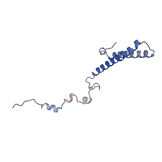 9703_6ip8_2b_v1-2
Cryo-EM structure of the HCV IRES dependently initiated CMV-stalled 80S ribosome (Structure iv)