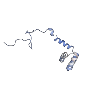 9703_6ip8_2c_v1-2
Cryo-EM structure of the HCV IRES dependently initiated CMV-stalled 80S ribosome (Structure iv)