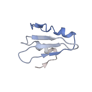9703_6ip8_2e_v1-2
Cryo-EM structure of the HCV IRES dependently initiated CMV-stalled 80S ribosome (Structure iv)