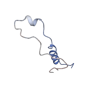 9703_6ip8_2f_v1-2
Cryo-EM structure of the HCV IRES dependently initiated CMV-stalled 80S ribosome (Structure iv)