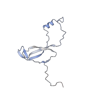 9703_6ip8_2i_v1-2
Cryo-EM structure of the HCV IRES dependently initiated CMV-stalled 80S ribosome (Structure iv)
