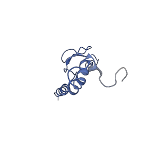 9703_6ip8_2j_v1-2
Cryo-EM structure of the HCV IRES dependently initiated CMV-stalled 80S ribosome (Structure iv)