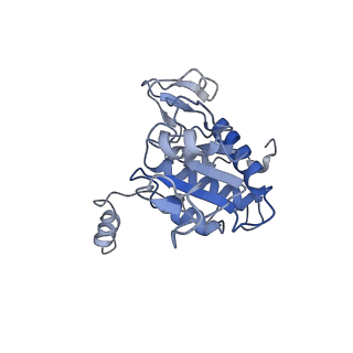 9703_6ip8_2n_v1-2
Cryo-EM structure of the HCV IRES dependently initiated CMV-stalled 80S ribosome (Structure iv)