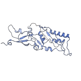9703_6ip8_2o_v1-2
Cryo-EM structure of the HCV IRES dependently initiated CMV-stalled 80S ribosome (Structure iv)