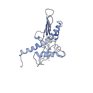 9703_6ip8_2p_v1-2
Cryo-EM structure of the HCV IRES dependently initiated CMV-stalled 80S ribosome (Structure iv)
