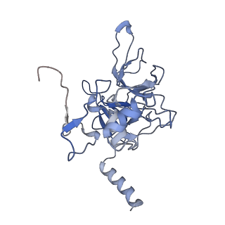 9703_6ip8_2q_v1-2
Cryo-EM structure of the HCV IRES dependently initiated CMV-stalled 80S ribosome (Structure iv)