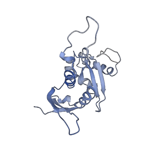 9703_6ip8_2s_v1-2
Cryo-EM structure of the HCV IRES dependently initiated CMV-stalled 80S ribosome (Structure iv)