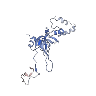 9703_6ip8_2t_v1-2
Cryo-EM structure of the HCV IRES dependently initiated CMV-stalled 80S ribosome (Structure iv)