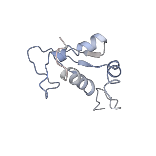 9703_6ip8_2u_v1-2
Cryo-EM structure of the HCV IRES dependently initiated CMV-stalled 80S ribosome (Structure iv)