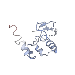 9703_6ip8_2w_v1-2
Cryo-EM structure of the HCV IRES dependently initiated CMV-stalled 80S ribosome (Structure iv)