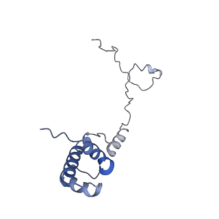 9703_6ip8_2y_v1-2
Cryo-EM structure of the HCV IRES dependently initiated CMV-stalled 80S ribosome (Structure iv)