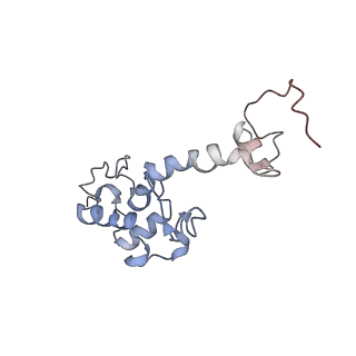 9703_6ip8_2z_v1-2
Cryo-EM structure of the HCV IRES dependently initiated CMV-stalled 80S ribosome (Structure iv)