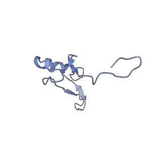9703_6ip8_3A_v1-2
Cryo-EM structure of the HCV IRES dependently initiated CMV-stalled 80S ribosome (Structure iv)