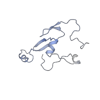 9703_6ip8_3C_v1-2
Cryo-EM structure of the HCV IRES dependently initiated CMV-stalled 80S ribosome (Structure iv)