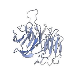 9703_6ip8_3F_v1-2
Cryo-EM structure of the HCV IRES dependently initiated CMV-stalled 80S ribosome (Structure iv)