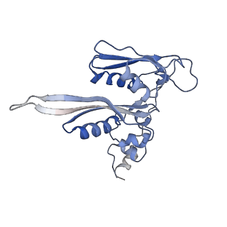 9703_6ip8_3G_v1-2
Cryo-EM structure of the HCV IRES dependently initiated CMV-stalled 80S ribosome (Structure iv)