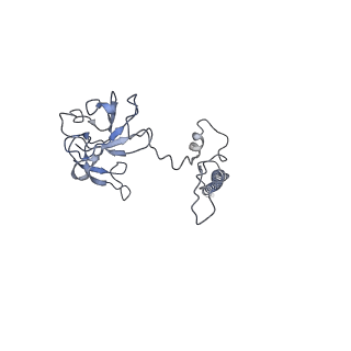 9703_6ip8_3H_v1-2
Cryo-EM structure of the HCV IRES dependently initiated CMV-stalled 80S ribosome (Structure iv)
