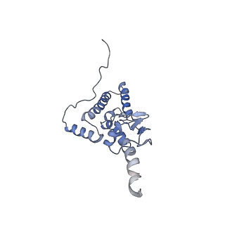 9703_6ip8_3I_v1-2
Cryo-EM structure of the HCV IRES dependently initiated CMV-stalled 80S ribosome (Structure iv)