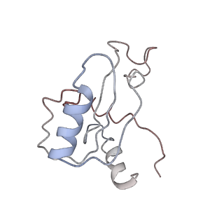 9703_6ip8_3J_v1-2
Cryo-EM structure of the HCV IRES dependently initiated CMV-stalled 80S ribosome (Structure iv)